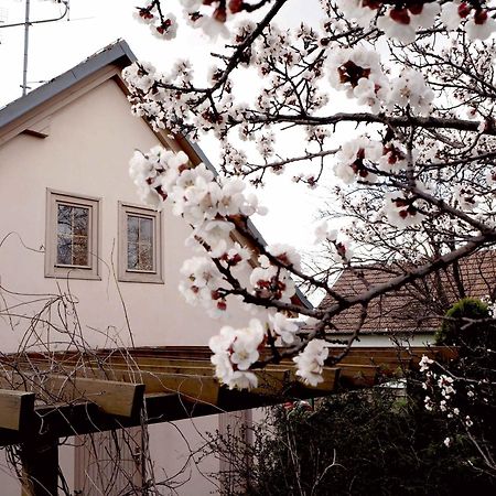 Ubytovani U Krizu Bulhary Exterior photo