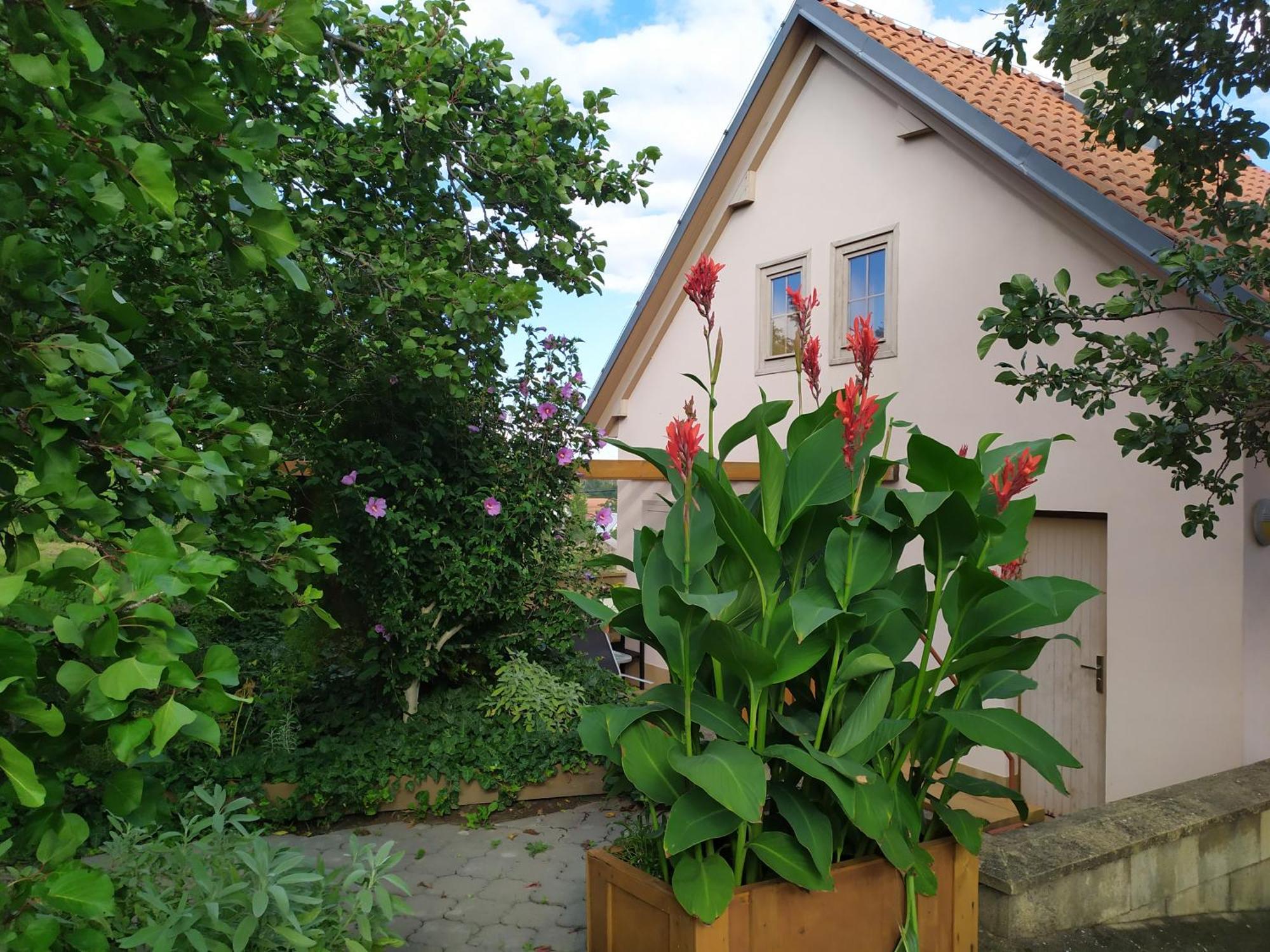 Ubytovani U Krizu Bulhary Exterior photo