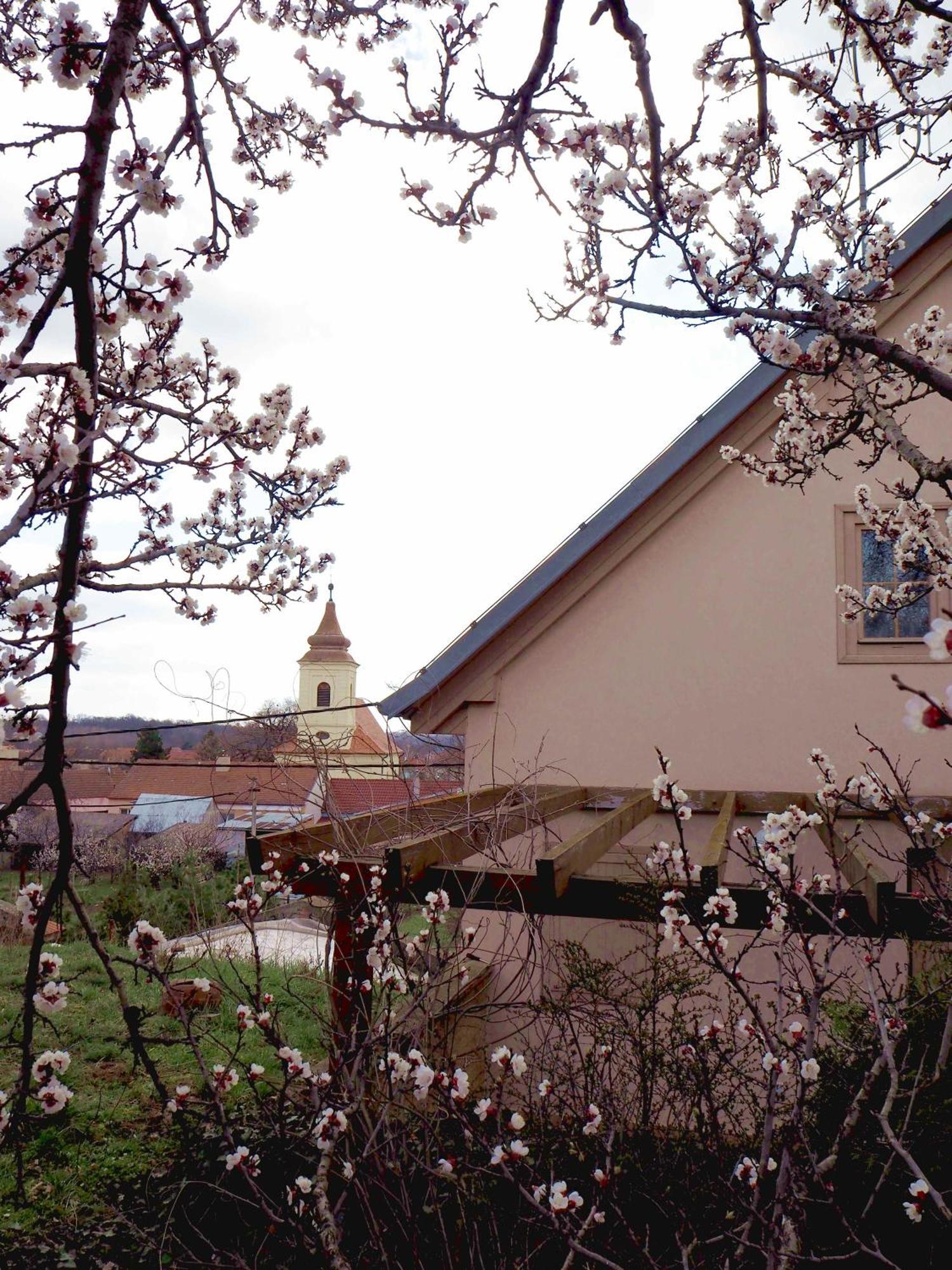 Ubytovani U Krizu Bulhary Exterior photo
